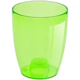 Erhard-Trading Coubi 13,2 x 13,2 x 16 cm Transparent