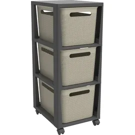 Rotho Schubladenbox Brisen 36,6 x 30,0 x 77 cm 3-tlg. cappuccino