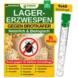 green guardia Lagererzwespen gegen Brotkäfer 9 x 40 Nützlinge