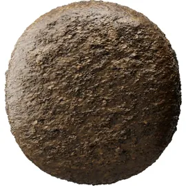 foodforplanet gmbh & co. kg Hypoallergenic 2 x 12,5 kg