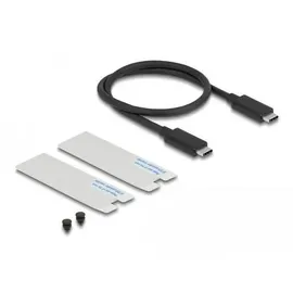 DeLock USB4 40 Gbps Gehäuse für M.2 NVMe SSD - Externes USB Anschluss, Silber