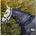 Warmblut