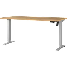 Germania Schreibtisch Boras Navarra-Eiche / Silber
