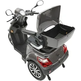 ECONELO Seniorenmobil P1000 25 km/h 1000 Watt Grau