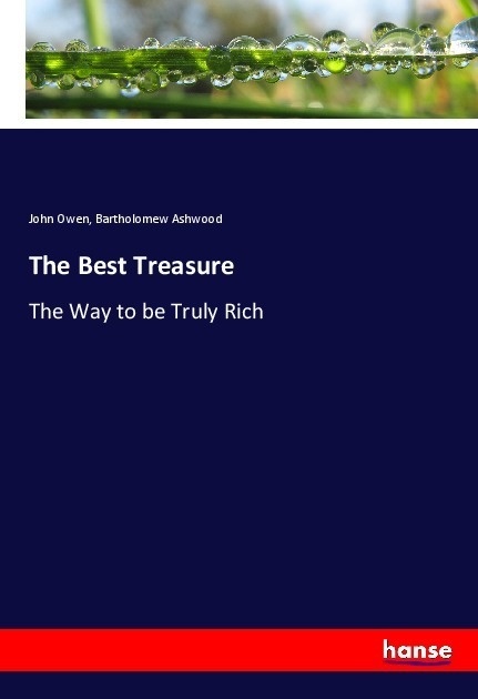 The Best Treasure - John Owen  Bartholomew Ashwood  Kartoniert (TB)