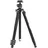 Sirui L-224F+KS-10