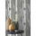Rasch Textil Papiertapete mit Birkenstämmen, grau (grau,weiß), B:0,53m L:10,05m, Papier, Tapeten, Birkenwald
