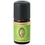 Primavera Ätherisches Öl Latschenkiefer bio 5 ml