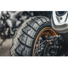 Anlas Winter Grip Plus FRONT 120/70 R19 60V TL