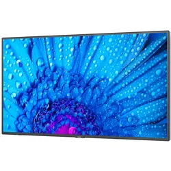 NEC MultiSync M651