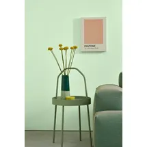 Alpina Wandfarbe Pantone Ambrosia grün matt 2,5 l