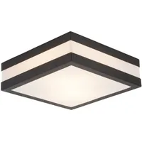 Lightbox Outdoor Deckenlampe | 9 x 29 cm |