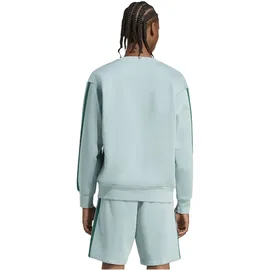 adidas Sweatshirt Wonder Sage/Collegiate Green XL