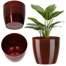 Kadax 18 x 18 x 16 cm Rot