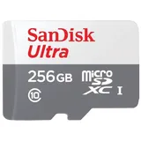 SanDisk Ultra R100 microSDXC 256GB Kit, UHS-I, Class 10 (SDSQUNR-256G-GN6TA)