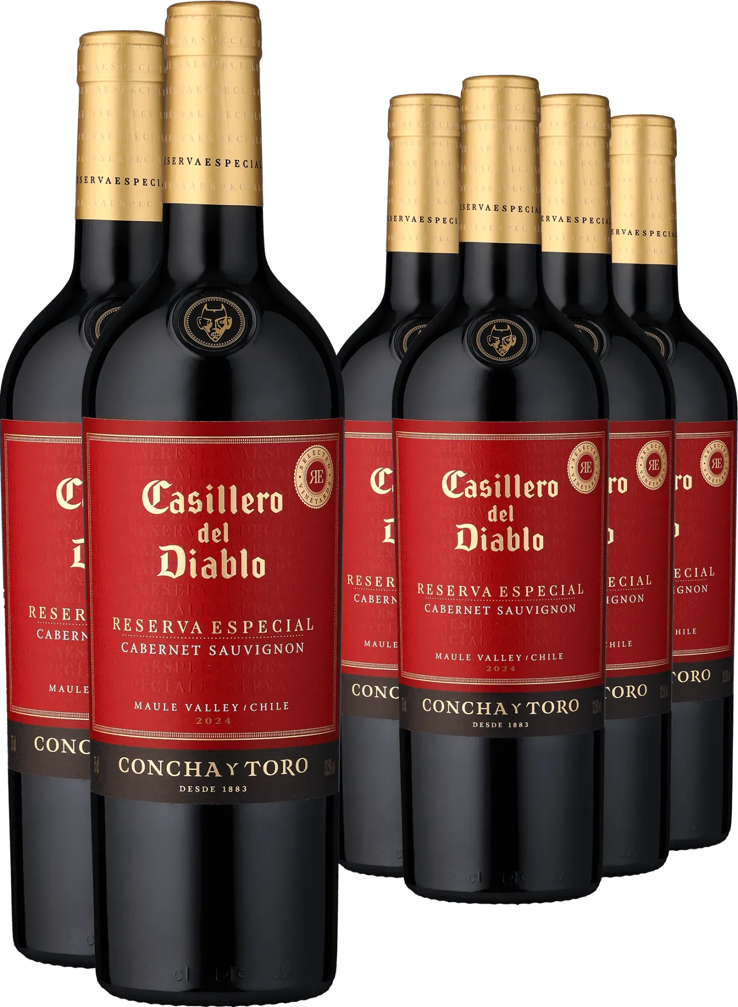 4+2-PAKET Casillero del Diablo Reserva Especial Cabernet Sauvignon 2023