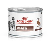 ROYAL CANIN Recovery Canine & Feline Nassfutter
