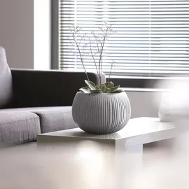 Prosperplast Bowl 14,4 x 14,4 x 11 cm Zement