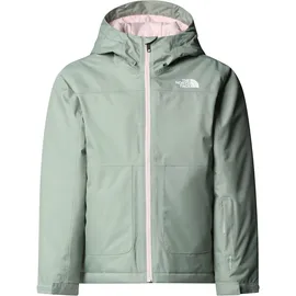 The North Face Freedom Insulated Jacket slate moss (BQ1) L