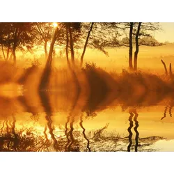 Fototapete PAPERMOON "DÄMMERUNG-REFLEXION VON BÄUMEN UFER FLUSS SEE SONNE", bunt, B:4,00m L:2,60m, Vlies, Tapeten