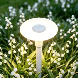 doporro Wegeleuchte weiß ⌀300 x H804 mm 6W IP65 wetterfest