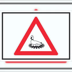 Achtung Brutzeit Schild Symbol A3 (297x420mm)