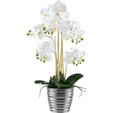 Creativ green Kunstorchidee »Orchidee Phalaenopsis«, mit silberfarbenem Keramiktopf weiß