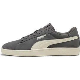 Puma Smash 3.0 Herren Cool Dark Gray/Warm White 42,5