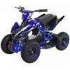 Elektro Miniquad Kinder Racer 1000 Watt Pocket Kinderquad Pocketbike ATV (Schwarz/Blau)