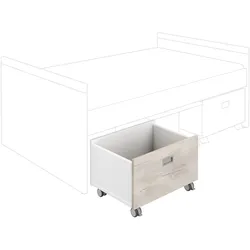 PAIDI Rollbox KIRA