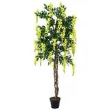 Europalms Goldregenbaum, gelb, 150cm