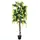 Europalms Goldregenbaum, gelb, 150cm