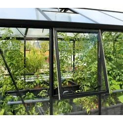 Vitavia Seitenfenster "Z" mit oder ohne Verglasung für Zeus-3 mm Sicherheitsglas-schwarz