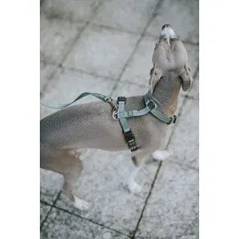 Hunter Tripoli Hundegeschirr Oliv XS-S