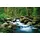 Papermoon Vlies- Fototapete Digitaldruck 250 x 180 cm Deep Forrest