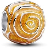 Pandora Charm 793212C02