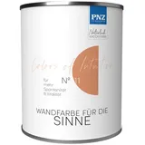 PNZ - Die Manufaktur Wandfarbe Colors of Intuition, reine Silikatfarbe, hochdeckend, große Farbtiefe orange