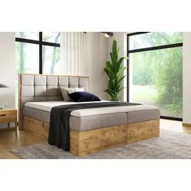 an furniture store BORIS 160 x 200 cm Beige