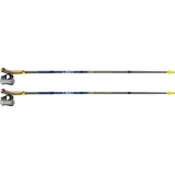 Leki Traveller FX.One Carbon Nordic Walking Stöcke Silvergray-midnightblue, 110CM