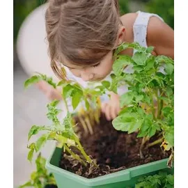 Gusta Garden Kartoffelturm Paul Potato Hochbeet 3 Etagen 44 x 50 x 44 cm Dunkelgrün