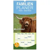 Calvendo Familienplaner 2026 - Muuuhhh! mit 5 Spalten (Wandkalender, 21 x 45 cm) CALVENDO