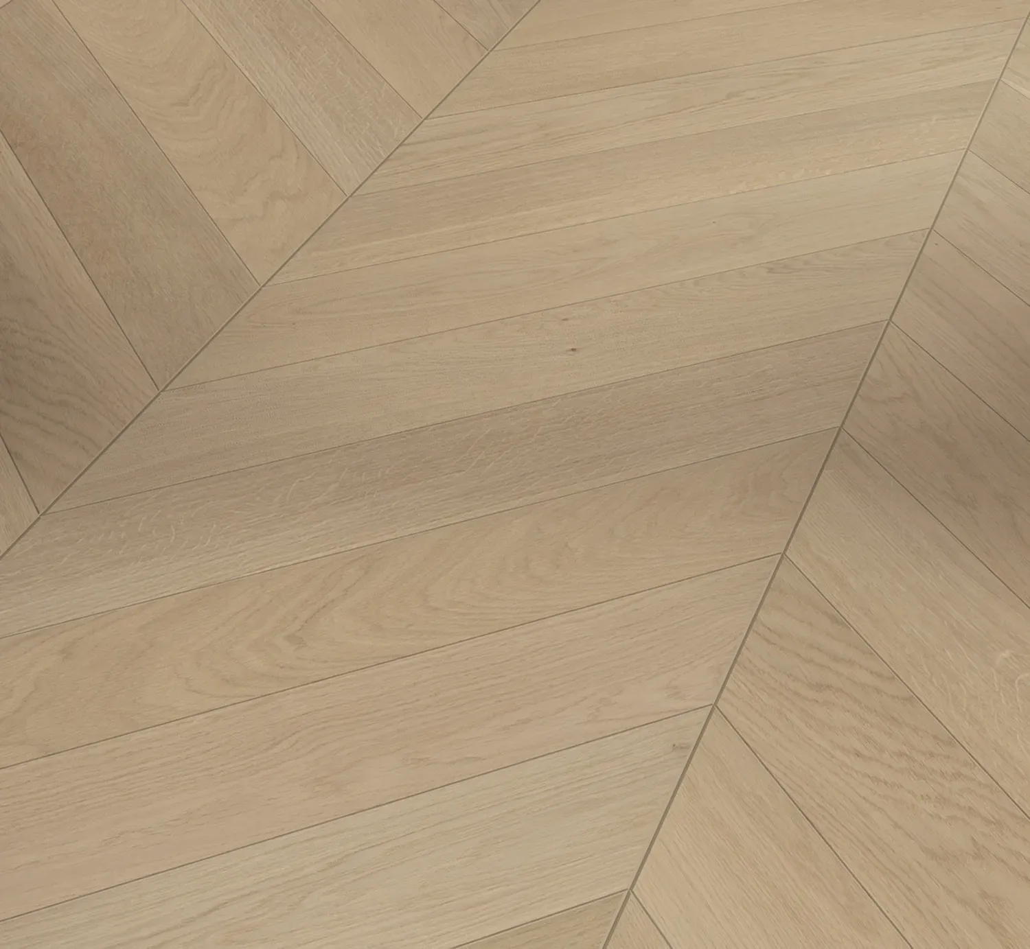 Parador Trendtime 10 Parkett Eiche Dune matt lackiert Chevron-Stab 610x90x15 mm