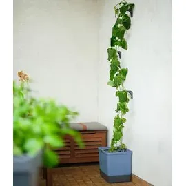 Gusta Garden Curt Cucumber 34,7 x 28,1 x 13,8 cm Blau
