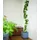 Gusta Garden Curt Cucumber 34,7 x 28,1 x 13,8 cm Blau