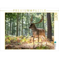 Calvendo Puzzle Emotionale Momente: Das Damwild. 1000 Teile Puzzle