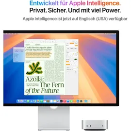 Apple Mac mini M4 2024 16 GB RAM 1 TB SSD 10-Core GPU Z1CF-IN03