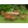 Merxx Santos Sessel 57 x 58 x 89 cm braun