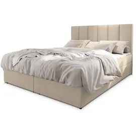 masseno Boxbett mit Bettkasten ¦ beige ¦ Maße (cm): B: 160 H: 98