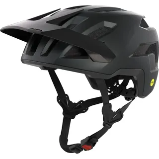 Alpina Twist Six HR QV 1-3 Sportbrille (Größe One Size, grau)