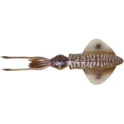 3D Swim-Squid Tintenfisch Kunstköder 12,5 cm, EINHEITSFARBE, EINHEITSGRÖSSE